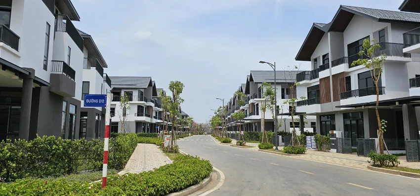dự án 14.jpg