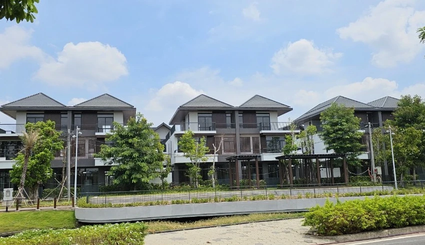 dự án 7.jpg