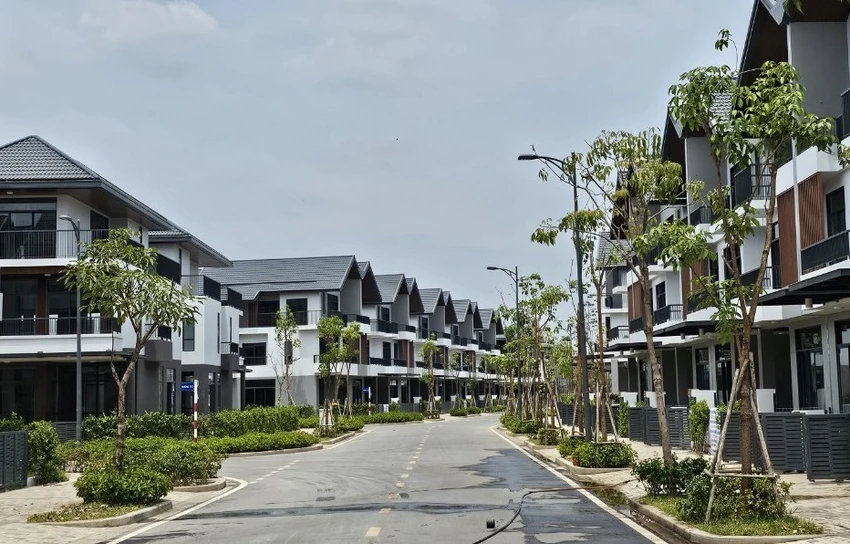 dự án 8.jpg