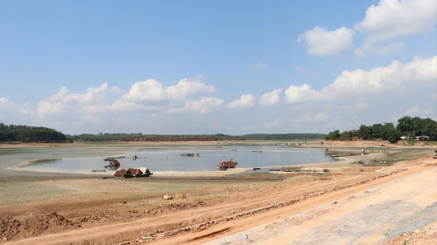 cá chết 3.jpg