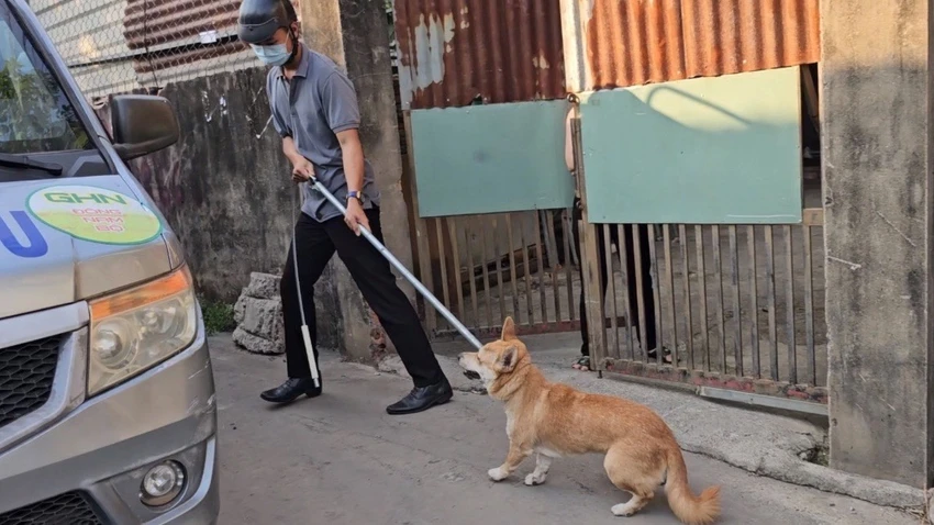 chó thả rông 7.jpg