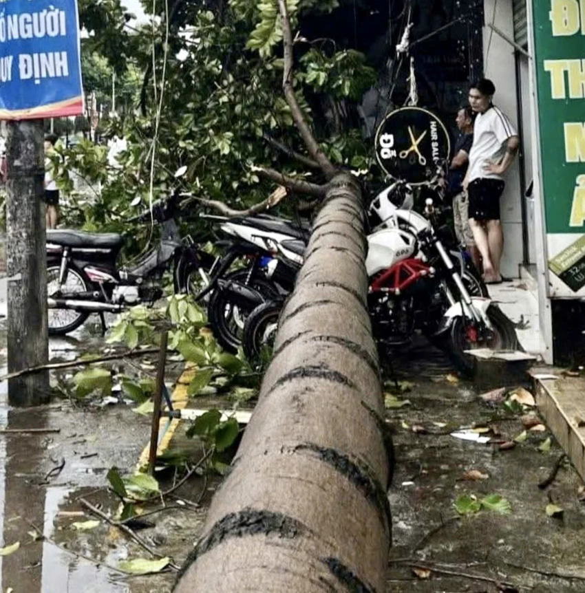 Lốc xoáy khiến nhiều cây xanh gãy đổ, đè xe máy ở Đồng Nai