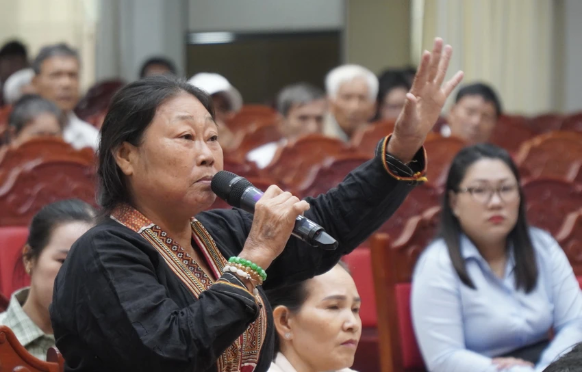  rừng phòng hộ...jpg