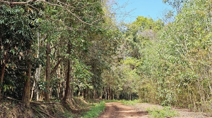 cầu mã đà 5.jpg