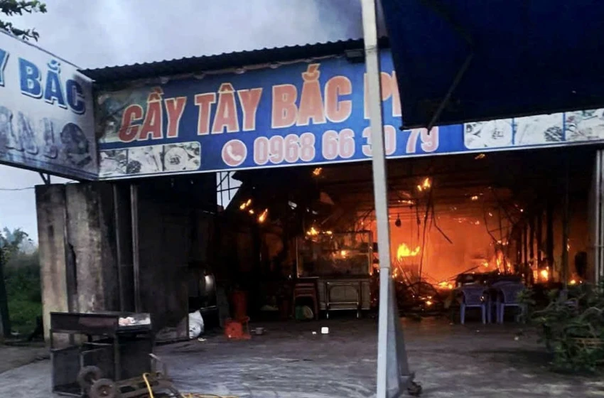 thịt chó 1.jpg