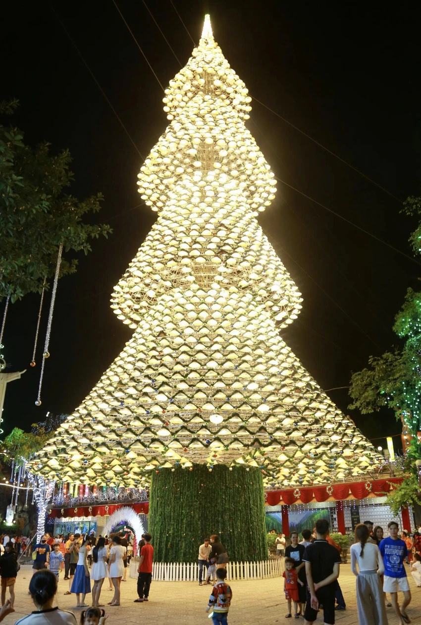 cây thông 1.jpg