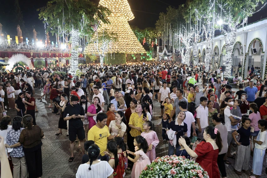 cây thông 4.jpg