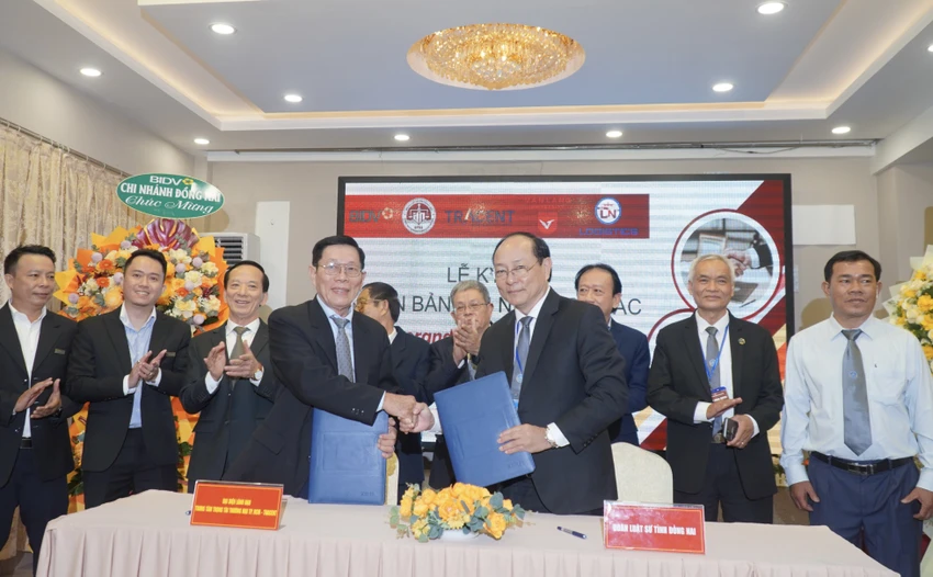 luật sư 1.jpg