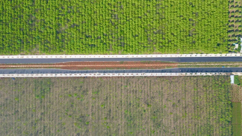 vành đai 1.jpg