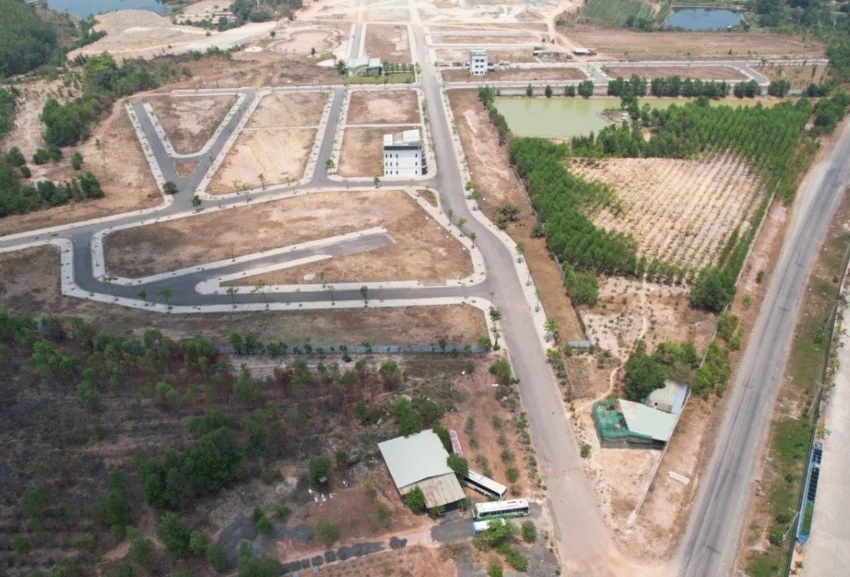dự án.jpg