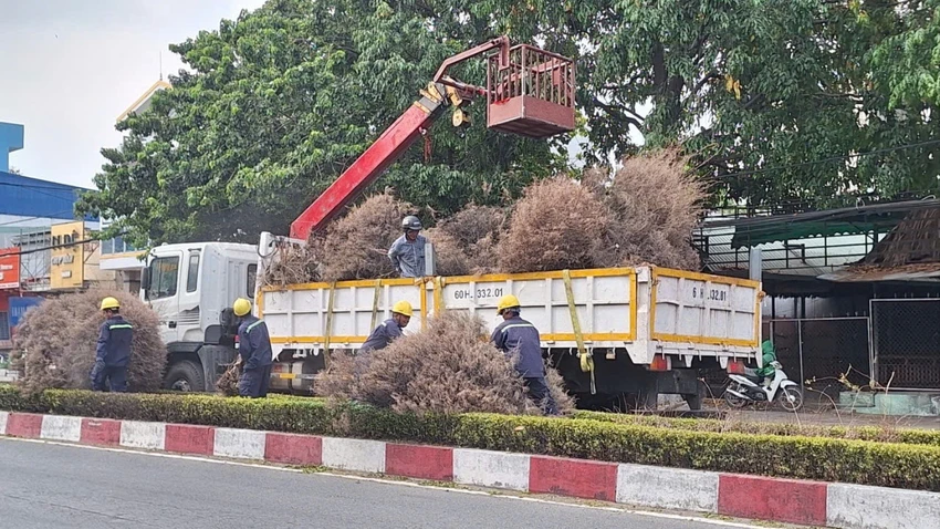 Đồng Nai.jpg