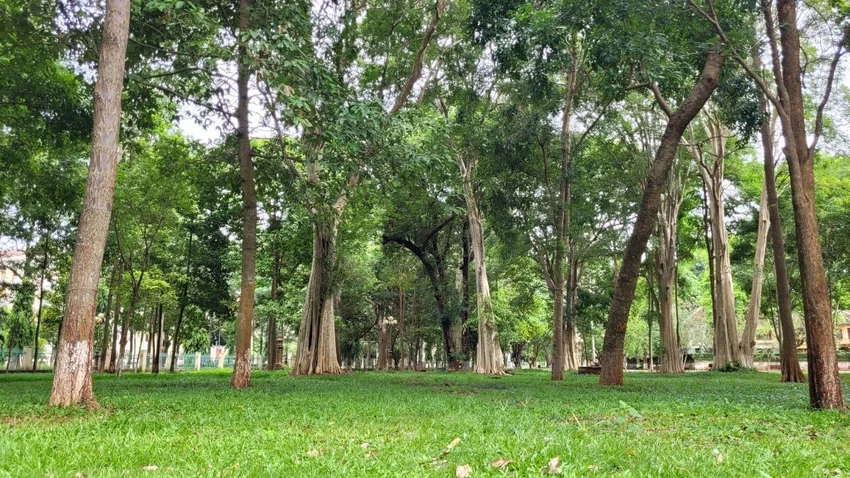 Buôn Ma Thuột từng được công nhận là một trong những TP xanh, sạch, đẹp của cả nước. Ảnh: VŨ LONG