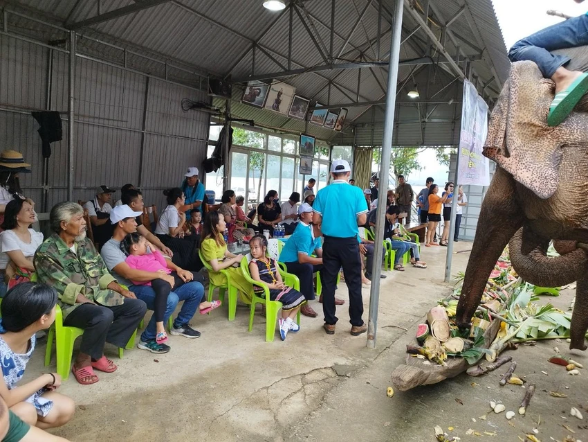 Người dân xem voi dự tiệc. Ảnh: VLX Người dân xem voi dự tiệc. Ảnh: VLX