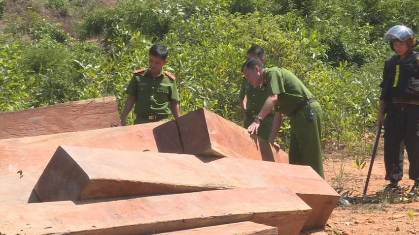 Công an tỉnh Đắk Lắk phát hiện, thu giữ gỗ khai thác trái phép. Ảnh minh họa Công an tỉnh Đắk Lắk phát hiện, thu giữ gỗ khai thác trái phép. Ảnh minh họa