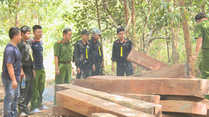 Công an tỉnh Đắk Lắk triệt phá vụ khai thác gỗ trái phép ở huyện Ea Kar. Ảnh minh họa Công an tỉnh Đắk Lắk triệt phá vụ khai thác gỗ trái phép ở huyện Ea Kar. Ảnh minh họa