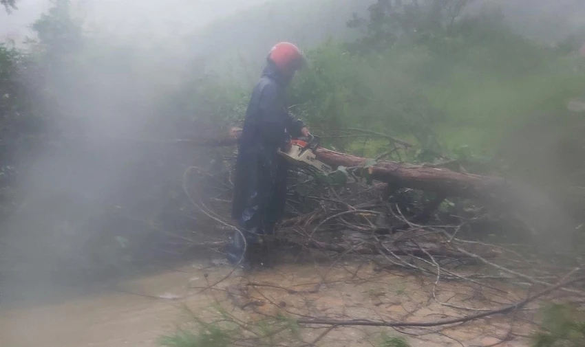 Chính quyền địa phương cử người cắt cây ngã đổ ven đường. Ảnh: LX Chính quyền địa phương cử người cắt cây ngã đổ ven đường. Ảnh: LX
