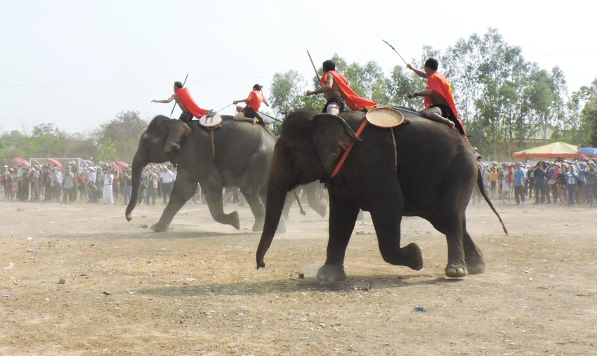 Hội voi diễn ra tại huyện Buôn Đôn trong Lễ hội cà phê Buôn Ma Thuột lần thứ 7. Ảnh: VŨ LONG