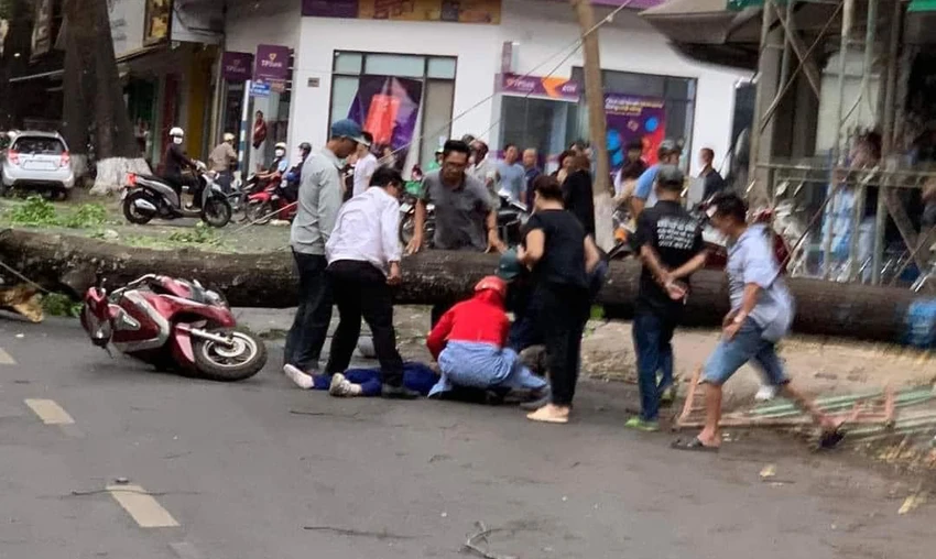 Người dân cứu người phụ nữ bị cây xanh đè trúng. Ảnh: AX Người dân cứu người phụ nữ bị cây xanh đè trúng. Ảnh: AX
