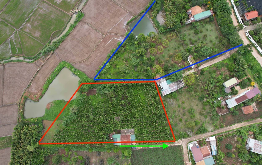 Đất ông Phạm Tặng (ô màu đỏ) và đất của bà Nguyễn Thị Tâm (ô màu xanh) trên thực tế. Ảnh: VŨ LONG Đất ông Phạm Tặng (ô màu đỏ) và đất của bà Nguyễn Thị Tâm (ô màu xanh) trên thực tế. Ảnh: VŨ LONG
