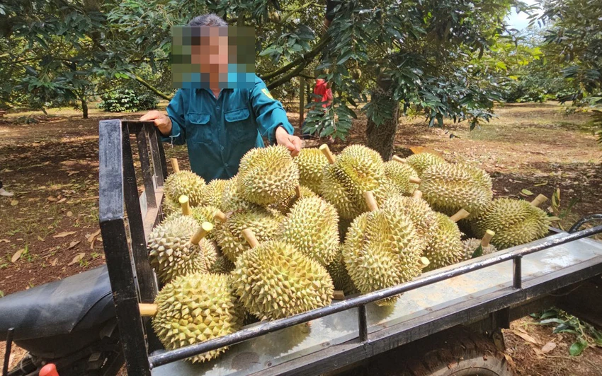 Ảnh minh họa Ảnh minh họa