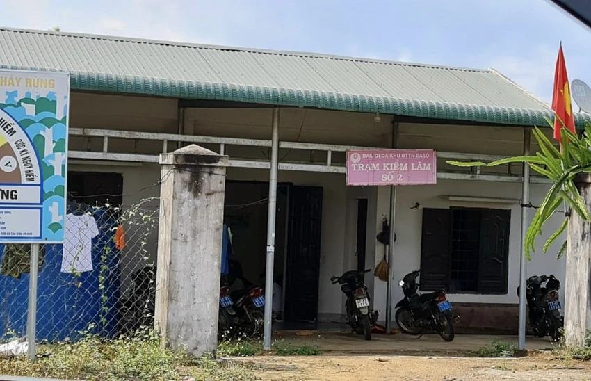 quyền trạm trưởng kiểm lâm bị bắn