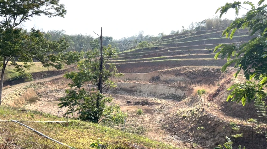 sân golf.png