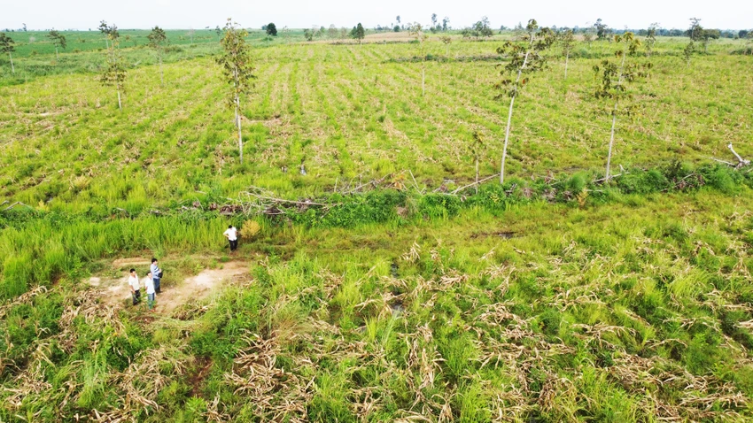 các dự án.jpg
