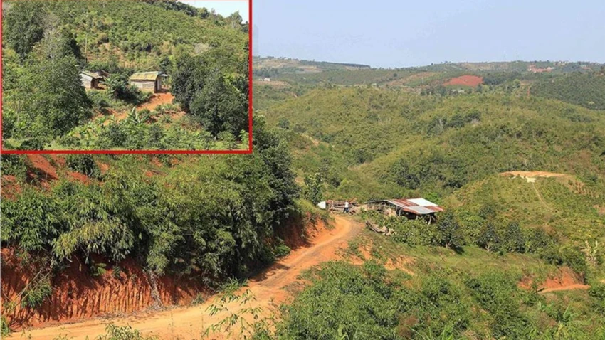 54 ha đất.png