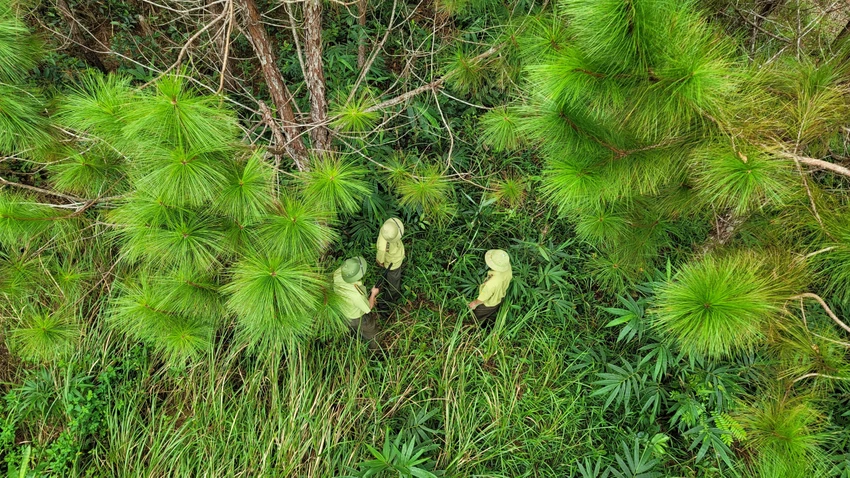 Vườn Quốc gia Tà Đùng.jpg