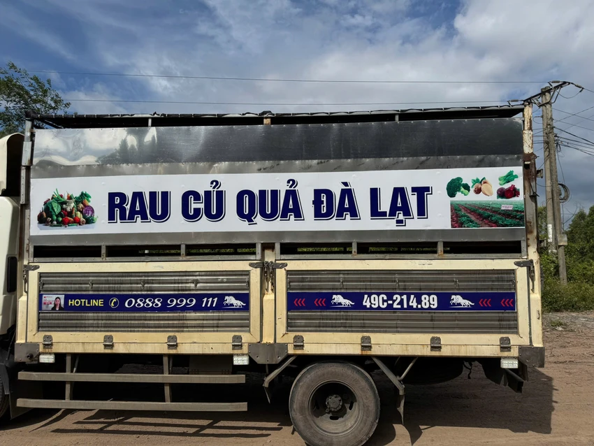 dịch tả lợn châu Phi.jpg