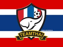 Các đội tuyển Việt Nam sẽ có logo trên ngực áo ảnh 2