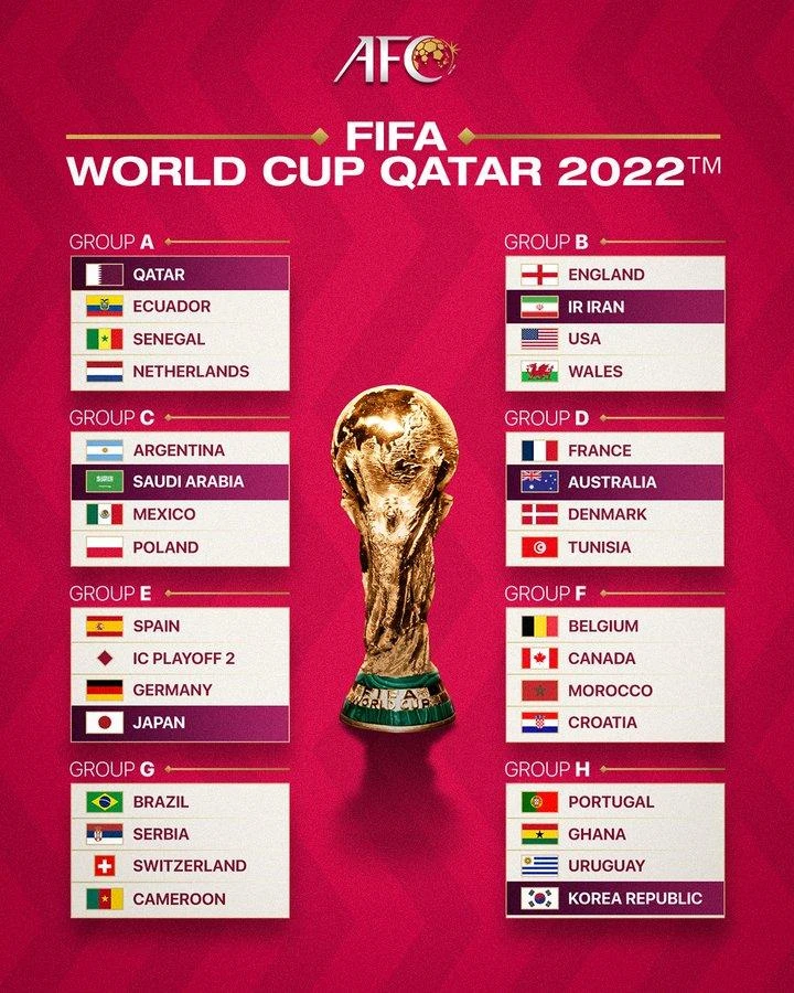 Thắng hai trận Play off, Úc vào bảng D cùng Pháp, Đan Mạch và Tunisia. Thắng hai trận Play off, Úc vào bảng D cùng Pháp, Đan Mạch và Tunisia.