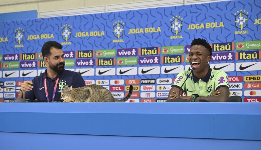 Tiền đạo của Real Madrid Vinicius Jr cười nói cực kỳ thoải mái trong buổi họp báo trước trận tứ kết gặp Croatia thì bất ngờ một chú mèo tinh nghịch... nhảy lên bàn. Ảnh: Getty