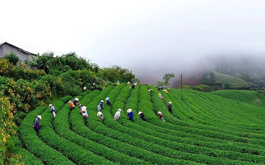 binh-minh-da-lat-dep-nap-long-5