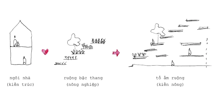 ngoi-nha-co-ruong-bac-thang-mat-tien-19