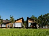 Chết mê, chết mệt với công trình đẹp và độc giữa đồng ruộng 