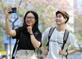 Kèn hồng nở sớm, giới trẻ đội nắng tìm chỗ check-in ở SG