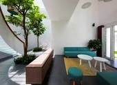 Mang thiên nhiên vào nhà nên lưu ý điều gì?