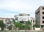 Ngôi nhà xanh mát bên triền đê sông Đáy