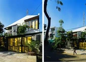 Ngắm nhà đẹp thoáng đãng, nhìn đâu cũng thấy cây xanh