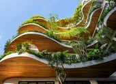 Choáng ngợp trước ngôi nhà hệt như rừng nhiệt đới giữa phố
