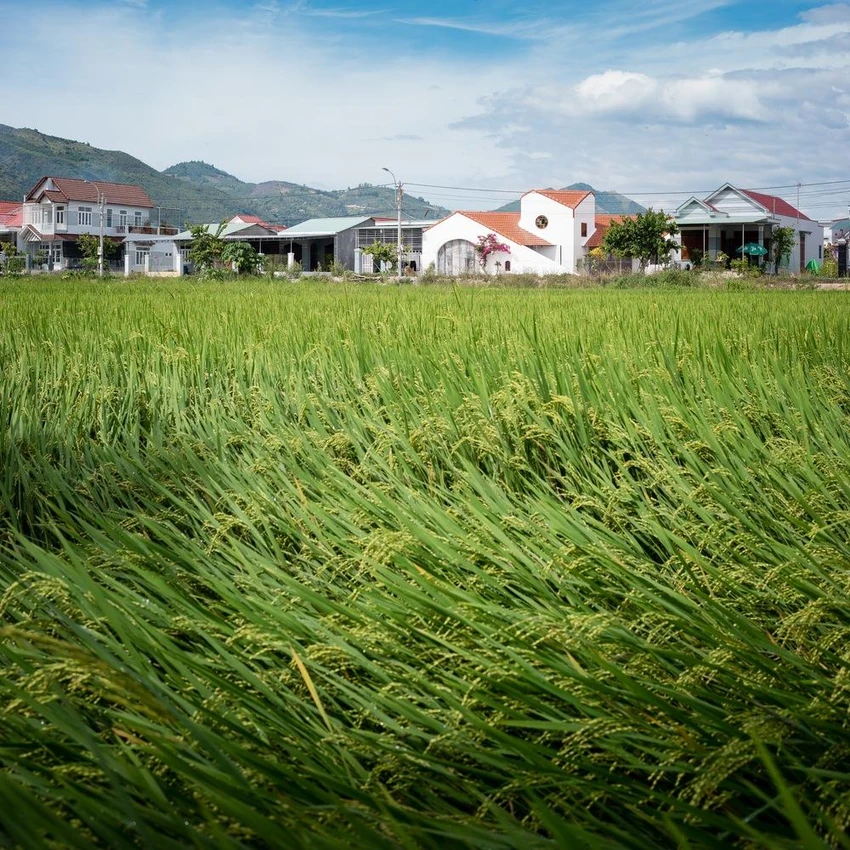 Công trình "Nhà ở quê" được thiết kế bởi kiến trúc sư a21studio tại Nha Trang, tỉnh Khánh Hòa. Công trình "Nhà ở quê" được thiết kế bởi kiến trúc sư a21studio tại Nha Trang, tỉnh Khánh Hòa.