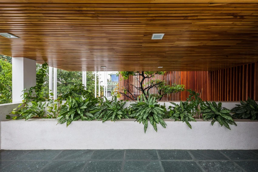 Cây xanh không thể thiếu trong công trình do kiến trúc sư BHA, SILAA Architects thiết kế. Cây xanh không thể thiếu trong công trình do kiến trúc sư BHA, SILAA Architects thiết kế.
