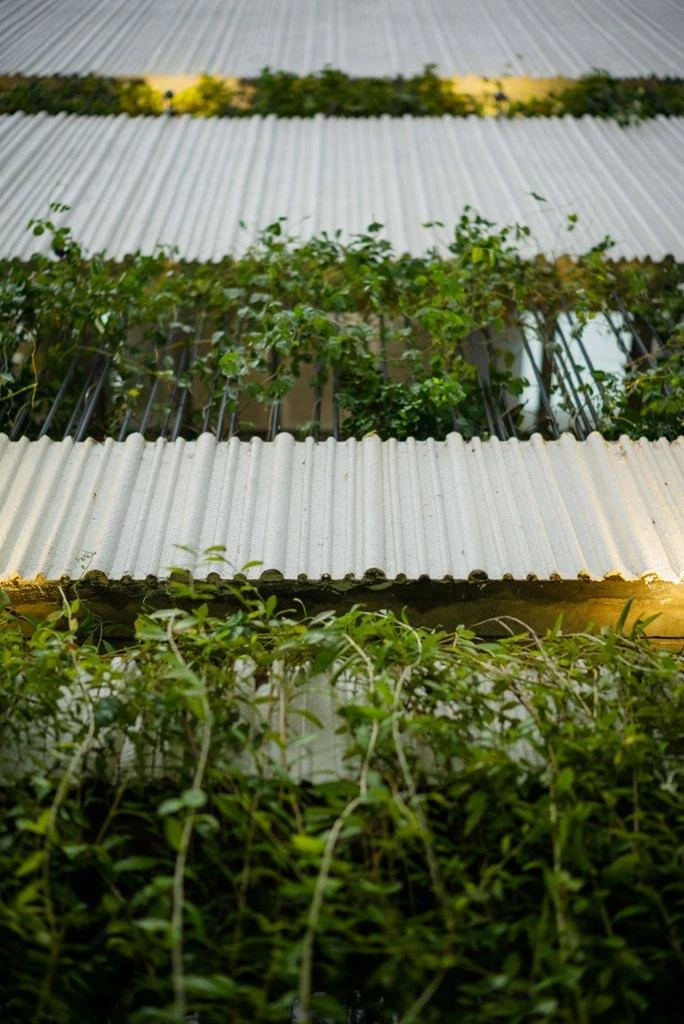 Phía mặt tiền được kiến trúc sư BOWa + TNA thiết kế phân mảng đơn giản, đặc của tường và rỗng của cây xanh.