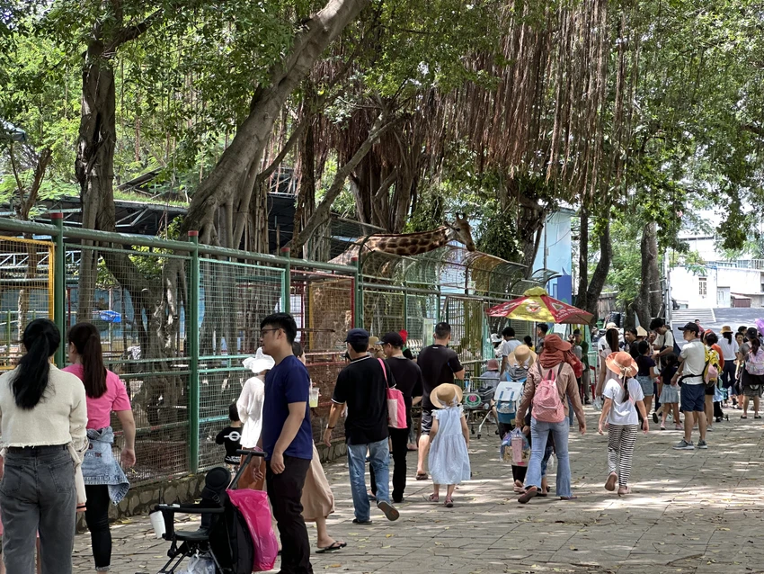 Khách du lịch tham quan và vui chơi tại Khu Du lịch Đầm Sen sáng ngày 1-9.