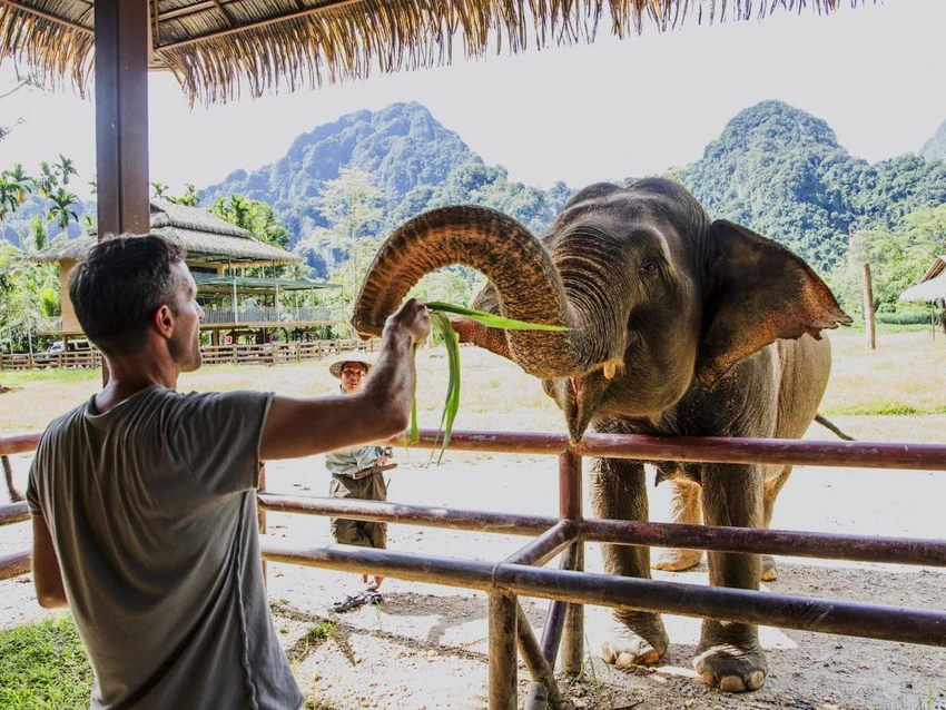 Bạn nên lập kế hoạch cho các hoạt động vui chơi, đặt nơi ở sớm và thích ứng tốt với những điều xảy ra để chuyến du lịch.