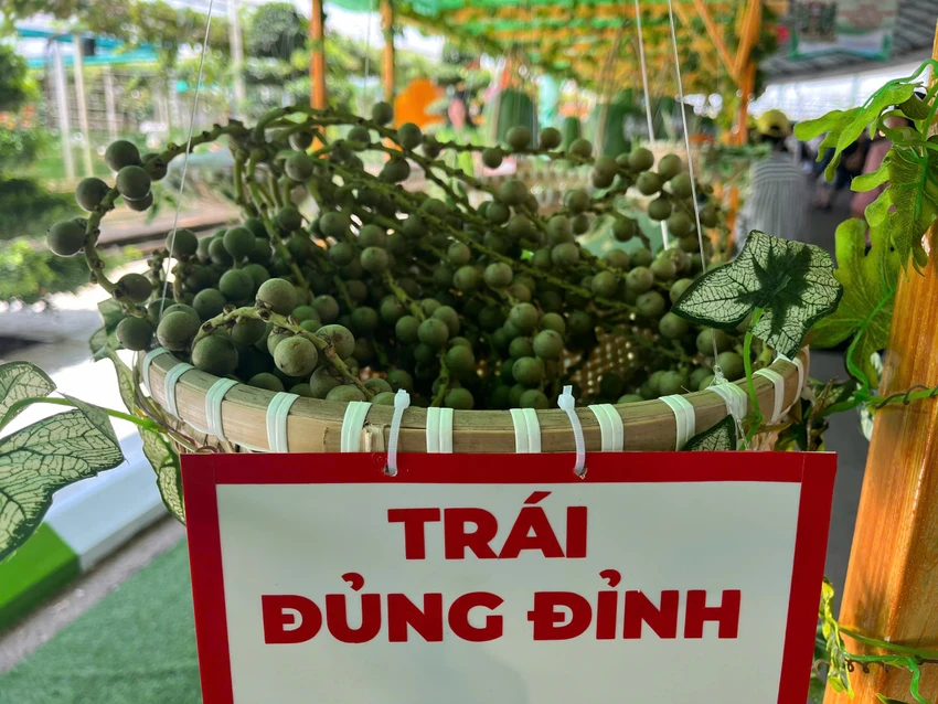 le-hoi-trai-cay-Nam-Bo-8.jpg