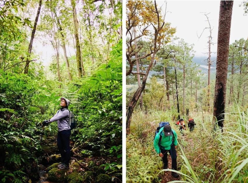 Loại hình du lịch trải nghiệm khám phá thiên nhiên như trekking, leo núi, cắm trại trong rừng…được nhiều du khách yêu thích. Ảnh: DL.