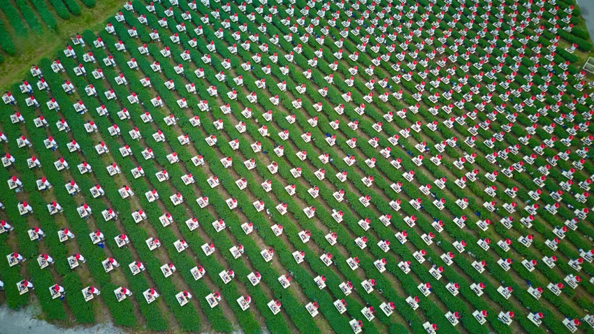 tra-1.jpg