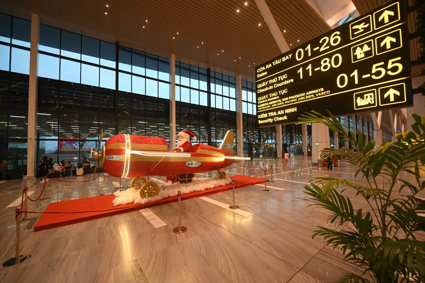 T3-7.JPG